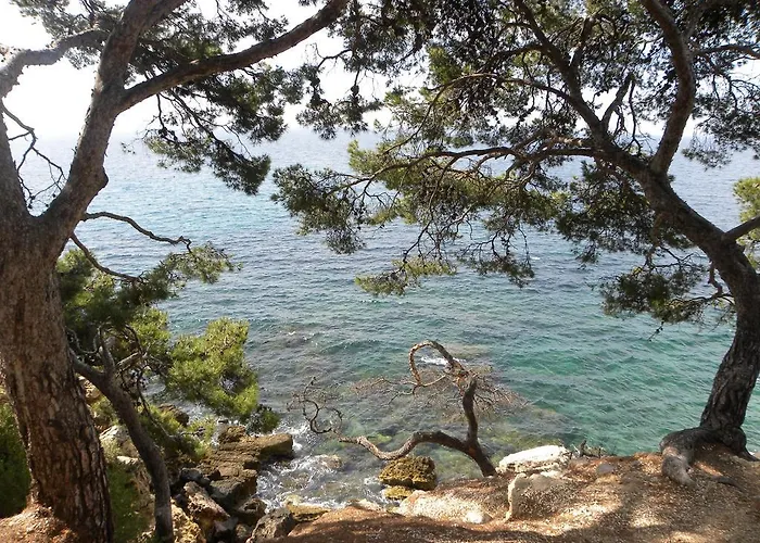 Sun & Sea *