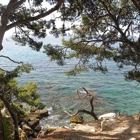 Sun & Sea *